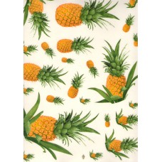 Ref. 78645 - DECALQUE ABACAXI 2545/023